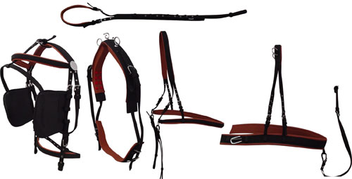 NY HARNESS SET WIDE